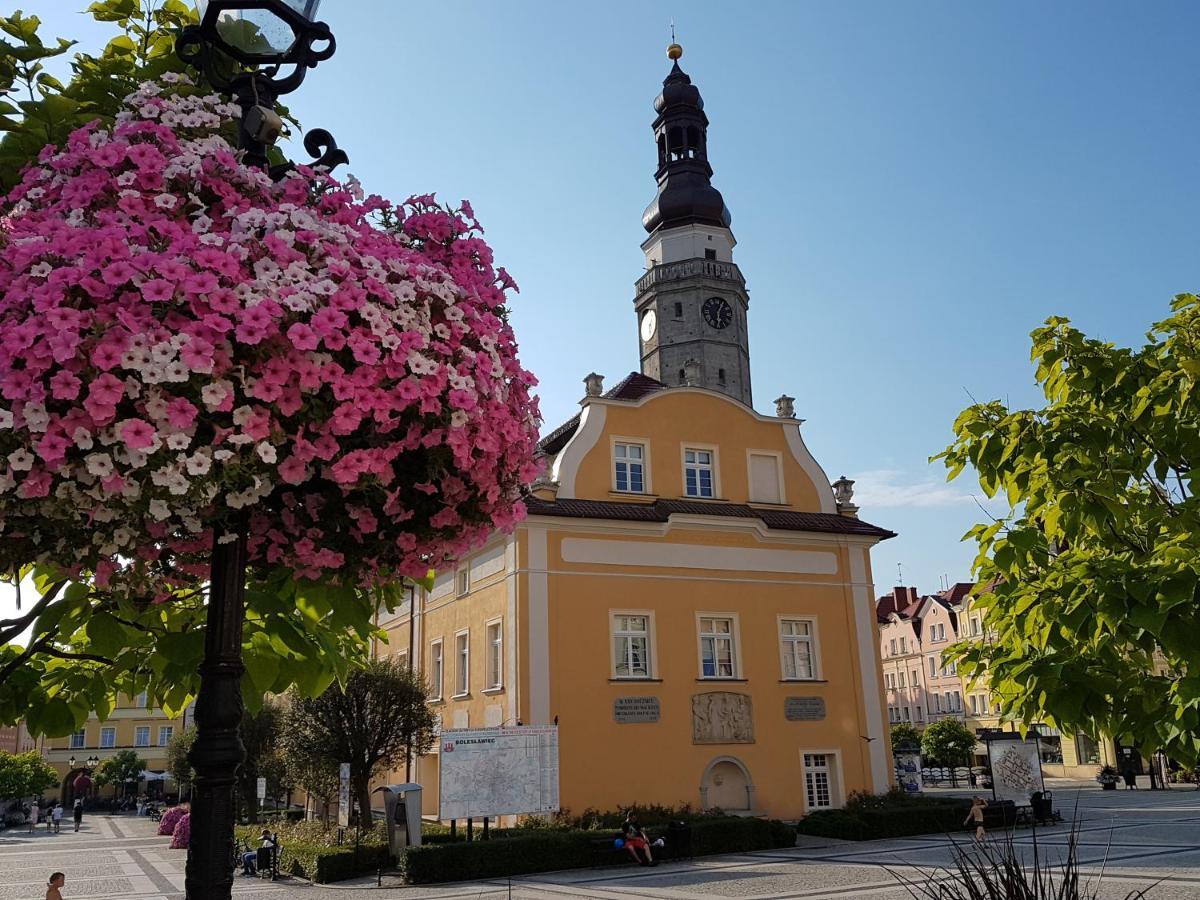 Apartament Przy Starowce - Hampton Болеславец Екстериор снимка